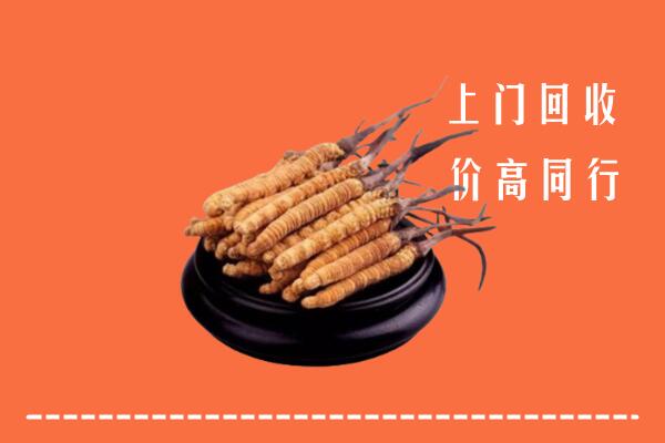 高价求购：罗江回收散虫草